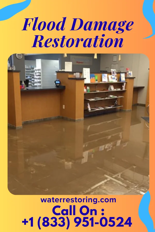Flood Damage Restoration in Ormsby, MN