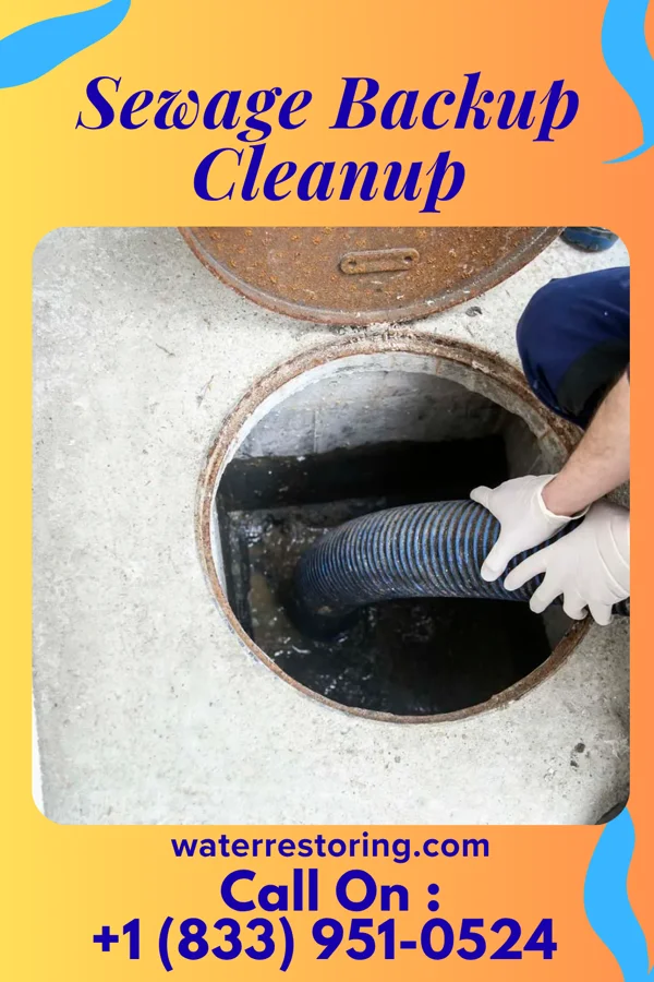 Sewage Backup Cleanup in Ormsby, MN